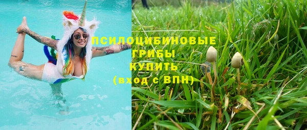 сатива Алзамай