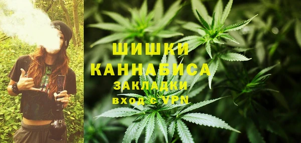 ГАЛЛЮЦИНОГЕННЫЕ ГРИБЫ Алексин