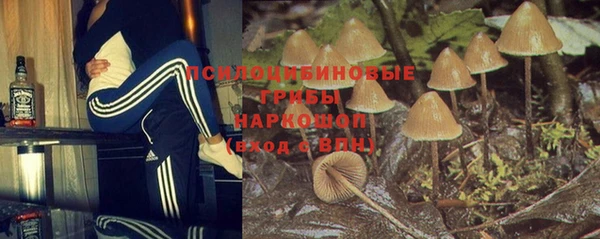ГАЛЛЮЦИНОГЕННЫЕ ГРИБЫ Алексин