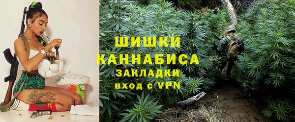 ГАЛЛЮЦИНОГЕННЫЕ ГРИБЫ Алексин