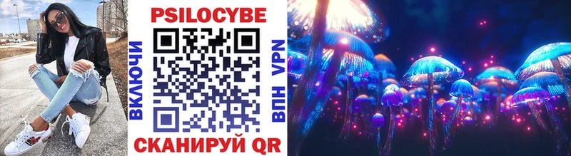Галлюциногенные грибы Cubensis мега как войти мориарти Telegram купить сайты Стародуб